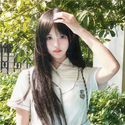 神秘森林